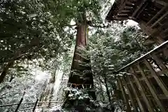 須佐神社の建物その他