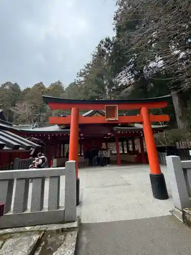 九頭龍神社新宮の{uncategorized: "未分類", other: "その他", undefined: "問題あり", building: "その他建物", grave: "お墓", sacred_gate: "鳥居", guardian: "狛犬", statue: "像", buddha: "仏像", history: "歴史", nature: "自然", garden: "庭園", animal: "動物", pagoda: "塔", temizu: "手水舎", mountain_gate: "山門・神門", sanctuary: "本殿・本堂", subordinate: "末社・摂社", art: "芸術", scenery: "景色", jizo: "地蔵", ema: "絵馬", goshuin: "御朱印", omikuji: "おみくじ", items: "授与品その他", amulet: "お守り", goshuincho: "御朱印帳", eats: "食事", festival: "お祭り", votive_dance: "神楽", shichigosan: "七五三参", wedding: "結婚式", experience: "体験その他", initially: "初詣", around: "周辺", anti_infection: "感染症対策"}