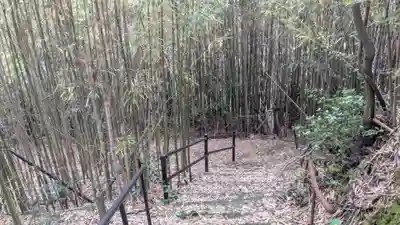 愛宕神社の自然