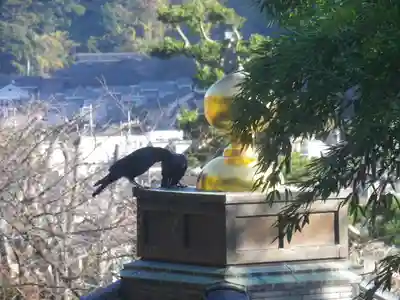長谷寺のその他建物