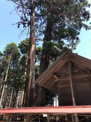 鹿嶋三嶋神社の本殿・本堂