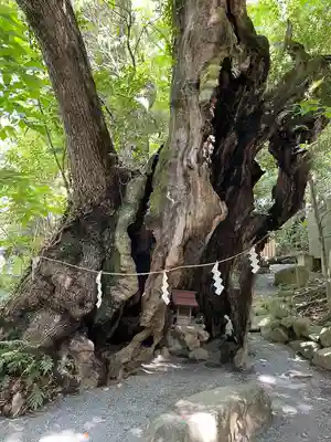 來宮神社(静岡県)