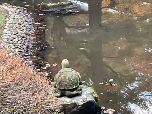 明月院(神奈川県)