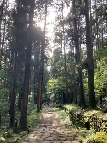 平泉寺白山神社(福井県)