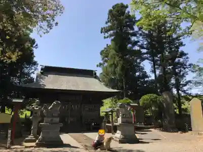 胸形神社の本殿・本堂
