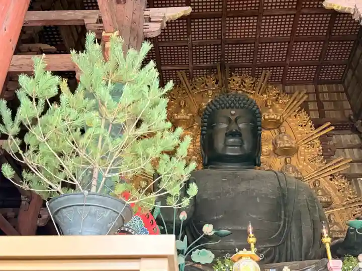 東大寺の{uncategorized: "未分類", other: "その他", undefined: "問題あり", building: "その他建物", grave: "お墓", sacred_gate: "鳥居", guardian: "狛犬", statue: "像", buddha: "仏像", history: "歴史", nature: "自然", garden: "庭園", animal: "動物", pagoda: "塔", temizu: "手水舎", mountain_gate: "山門・神門", sanctuary: "本殿・本堂", subordinate: "末社・摂社", art: "芸術", scenery: "景色", jizo: "地蔵", ema: "絵馬", goshuin: "御朱印", omikuji: "おみくじ", items: "授与品その他", amulet: "お守り", goshuincho: "御朱印帳", eats: "食事", festival: "お祭り", votive_dance: "神楽", shichigosan: "七五三参", wedding: "結婚式", experience: "体験その他", initially: "初詣", around: "周辺", anti_infection: "感染症対策"}