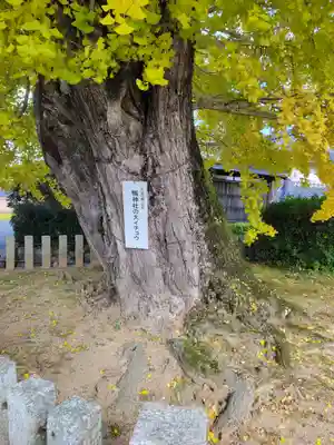 鴨神社(兵庫県)