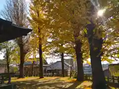 八重垣神社の景色