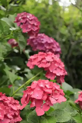 梅宮大社(京都府)