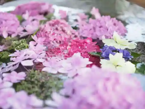 春日神社(福岡県)