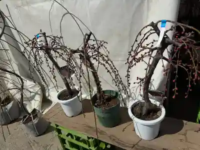 結城神社(三重県)