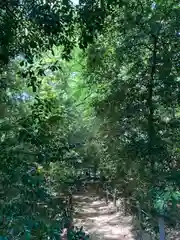 玉敷神社(埼玉県)