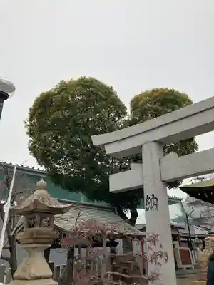 南宮宇佐八幡神社（脇浜神社）(兵庫県)