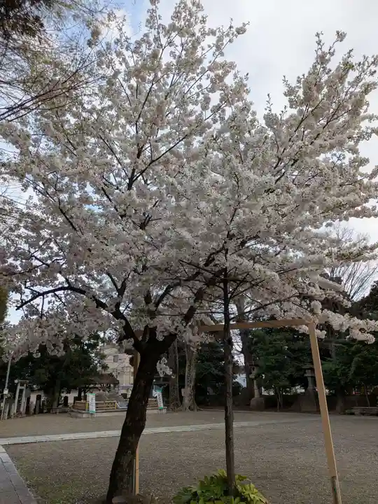下総野田愛宕神社(千葉県)