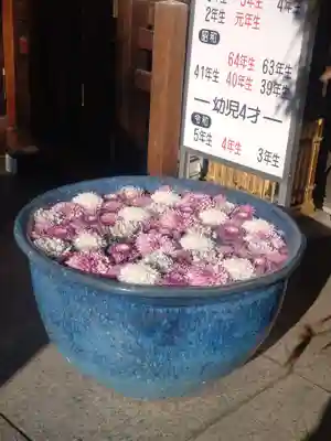 行田八幡神社(埼玉県)