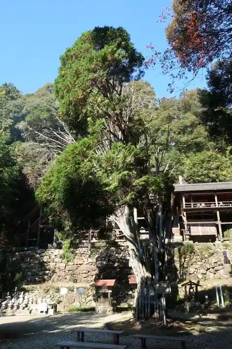 日龍峯寺(高澤観音)(美濃清水)(岐阜県)