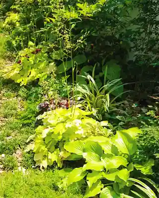 寿量山 速成寺(奈良県)