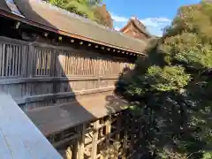 竹生島神社（都久夫須麻神社）の建物その他