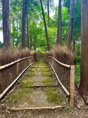 隨心院(随心院)(京都府)