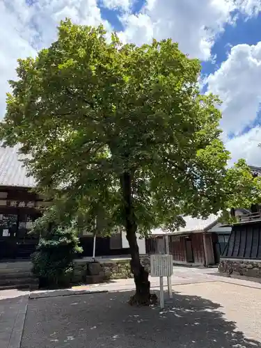 西明寺(愛知県)