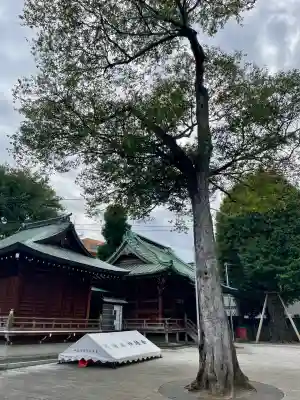 岩淵八雲神社(東京都)