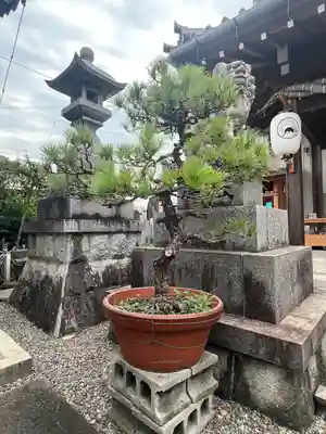 御嶽神社茅萱宮(岐阜県)