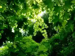 滑川神社 - 仕事と子どもの守り神の自然