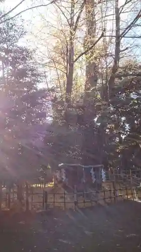 大國魂神社(東京都)