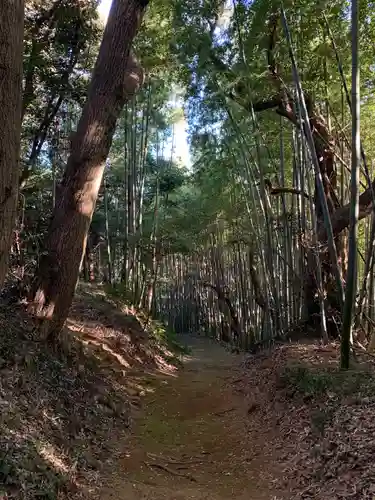 面足神社の自然