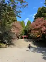 霧島神宮(鹿児島県)