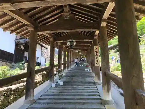 長谷寺(奈良県)