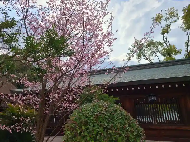 橿原神宮(奈良県)