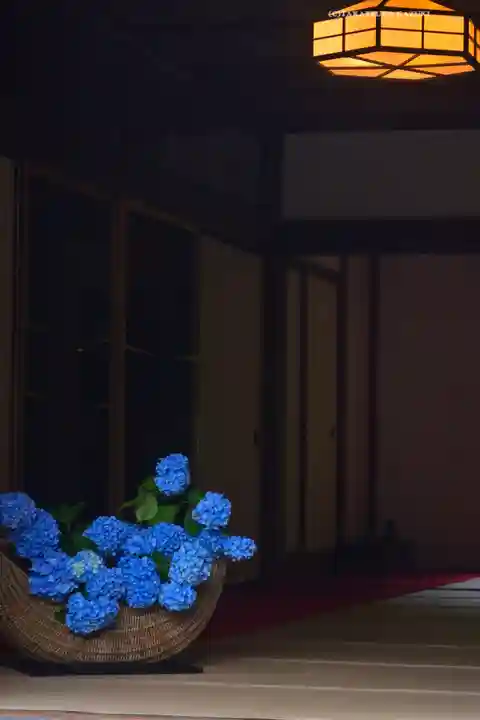 明月院(神奈川県)