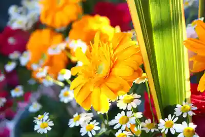 三津厳島神社の手水舎