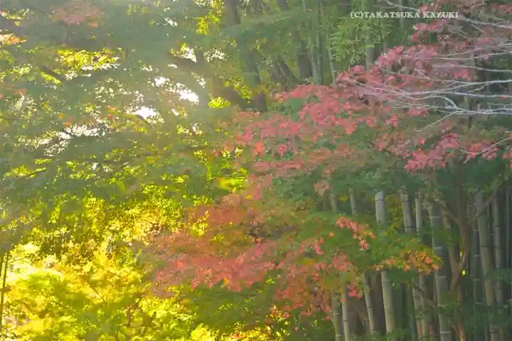 建長寺(神奈川県)