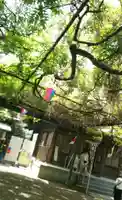 國領神社のその他建物