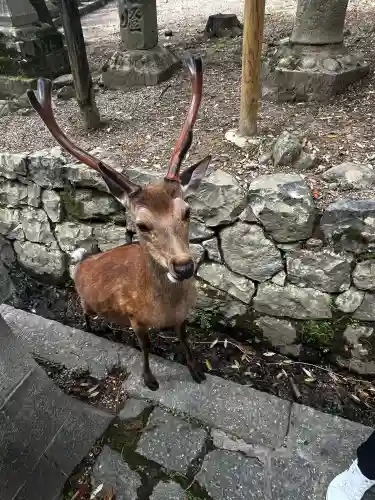 春日大社(奈良県)