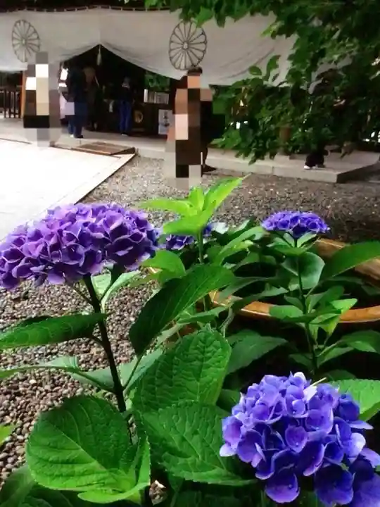 阿佐ヶ谷神明宮(東京都)