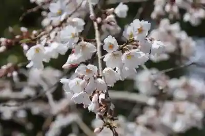 近江神宮(滋賀県)