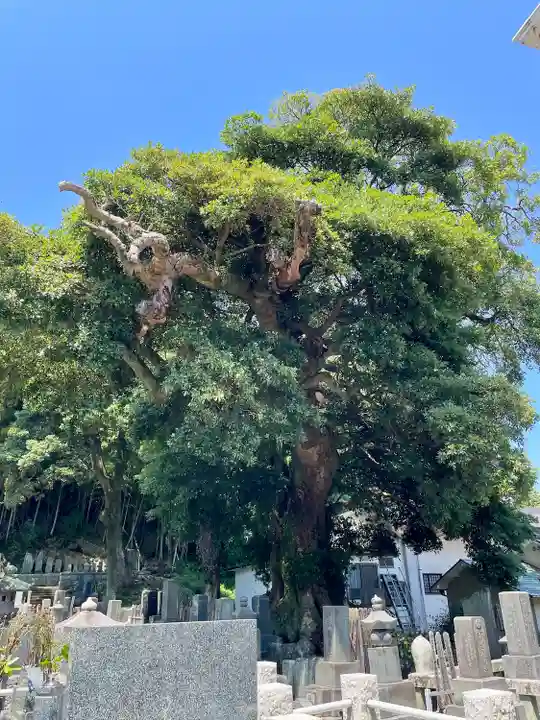 真福寺(神奈川県)