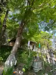 高尾山麓氷川神社(東京都)