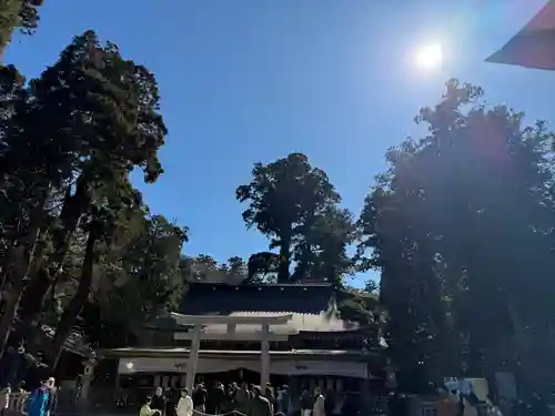 鹿島神宮(茨城県)