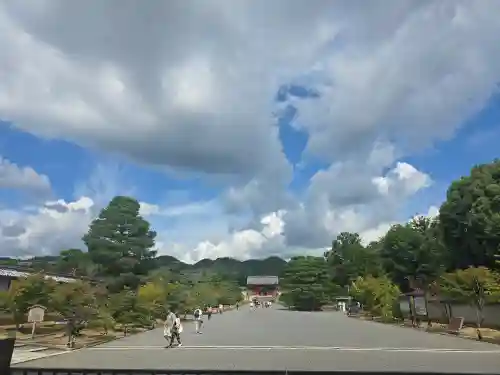 仁和寺の景色