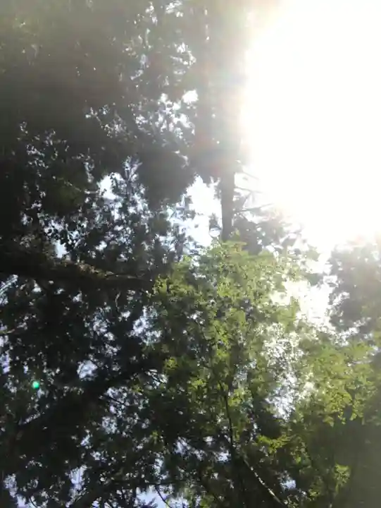 天の岩戸神社の自然