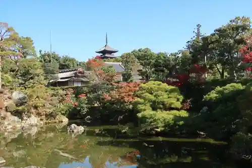 仁和寺(京都府)
