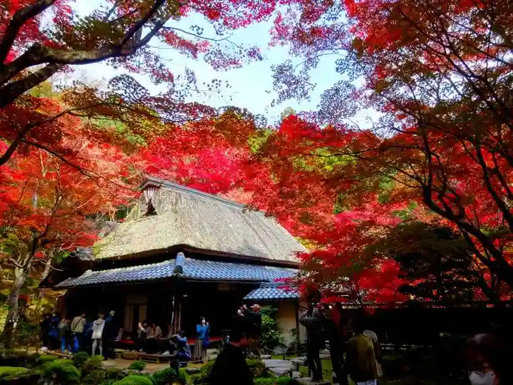教林坊(滋賀県)