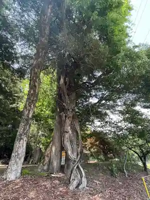 津島神社(岐阜県)