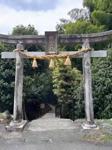 神龍八大龍王神社(熊本県)