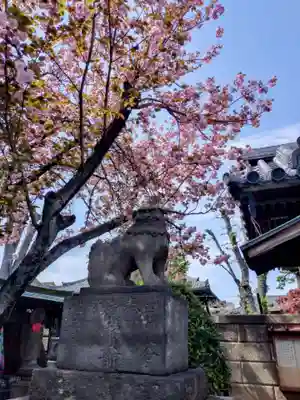 荘厳寺(東京都)