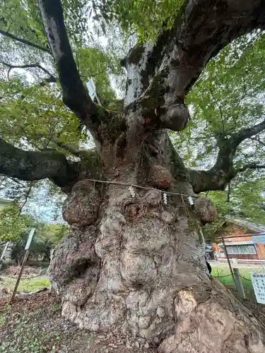 来光寺(滋賀県)